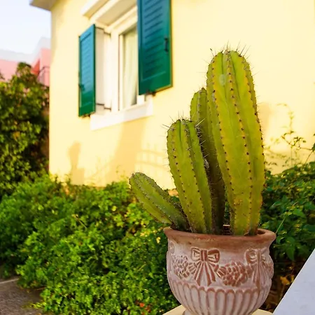 Jasmine Of Poseidonia Appartamento