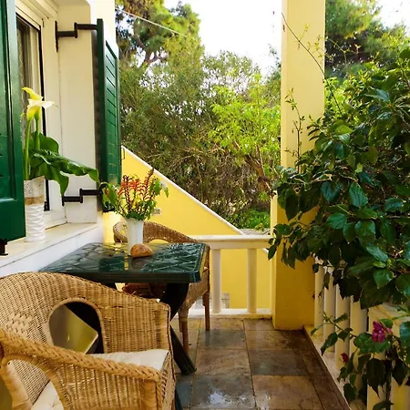 Jasmine Of Poseidonia Posidhonía